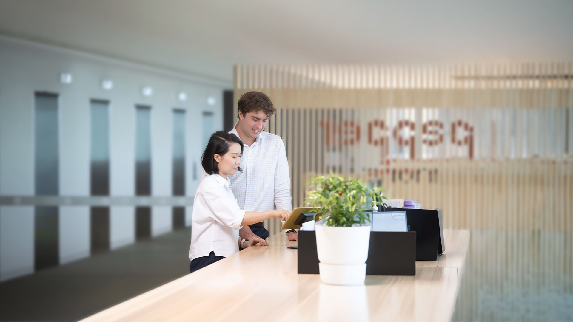 Broker working on a laptop in a Pepper Money office